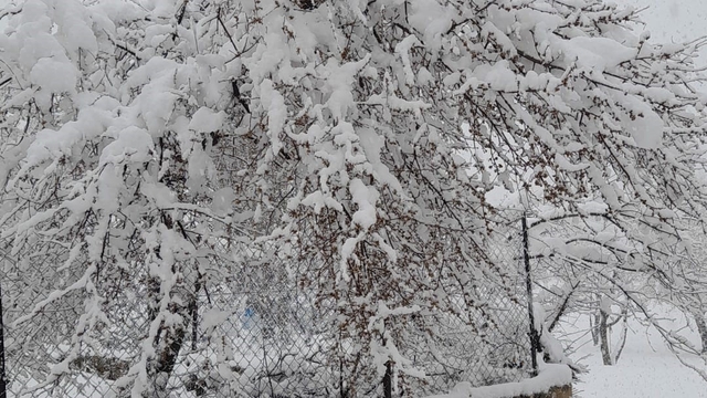 Denizli'nin yüksek kesimleri baharda beyaza büründü