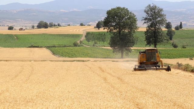 Samsun'da tarım, hayvancılık ve kırsal kalkınmaya 3 milyar TL üzerinde destek