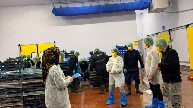 Bingöl'de balık işleme tesisleri denetlendi