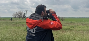 Mardin'de kayıp yaşlı kadını arama çalışmaları devam ediyor