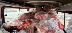 Uygunsuz koşullarda taşınan 1,6 ton sakatat imha edildi