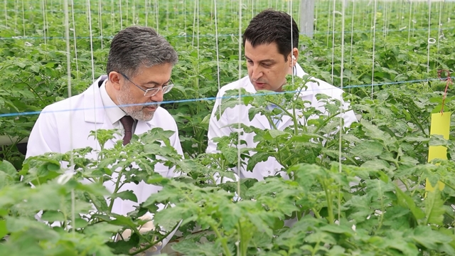 Tarım ve Orman Bakanı İbrahim Yumaklı Aksaray'da
Bakan Yumaklı, "Tarımsal girdilere yönelik almış olduğumuz bütün tedbirler yerinde. Hiçbir sorun olmayacak"
Bakan Yumaklı, "Bugün itibariyle üreticilerimizin hesaplarına 17 milyar 200 milyon liralık ödeme geçmiş olacak"