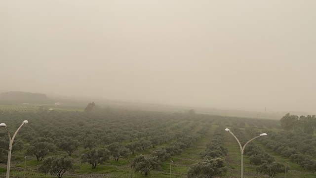 Libya kaynaklı toz taşınımı Osmaniye'de etkili oldu
