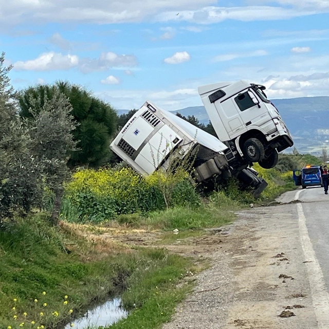 Bağa giren tır şaha kalktı