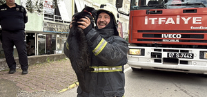 Kalp masajıyla kediyi yaşama bağlayan itfaiye erinin mutluluğu