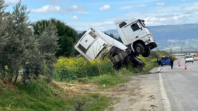 Bağa giren tır şaha kalktı