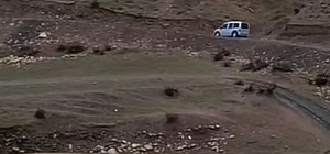 Siirt'te sağanak yağış hayvancılığı olumsuz etkiledi