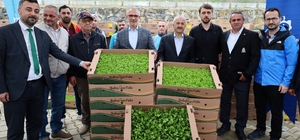 İşlenmeyen araziler üretime dönüyor: Çiftçilere yüzde 75 hibeli fide desteği