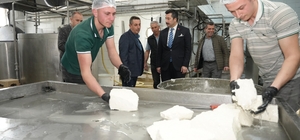 Her gün 3,5 ton sütten 12 çeşit peynir üretiyorlar