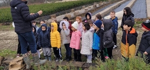 Düzce' de minik eller büyük ormanlar oluşturmak için çalıştı.