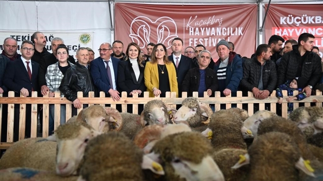 Tekirdağ'da küçükbaş hayvancılık festivali