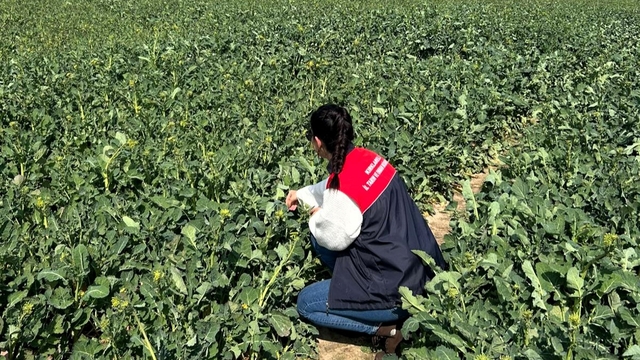 Kırklareli'nden kısa kısa