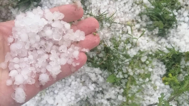 Tekirdağ'da dolu yağışı