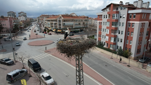 Konya'nın leylekleri direkteki yuvalarına geldi