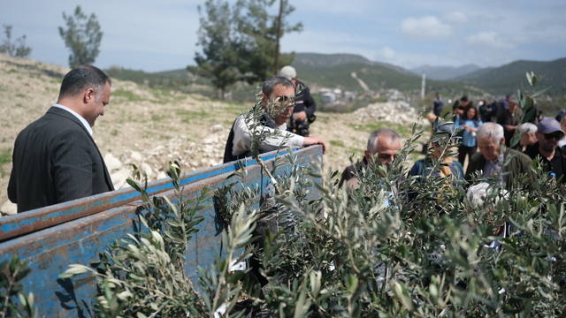 Mut ilçesinde 700 zeytin fidanı toprakla buluşturuldu