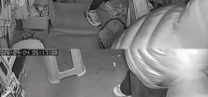 Hırsızın, arkadaşını 'sadece sıfır telefonları al' diyerek yönlendirdiği 15...