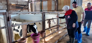 Düzce'de ari işletme sayısı artıyor