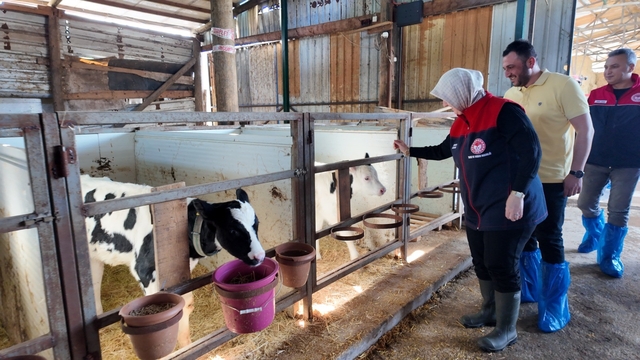 Düzce'de ari işletme sayısı artıyor