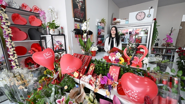 MERCEK kurslarıyla hayaller gerçeğe dönüşüyor