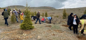 Elazığ'da fidan dikim etkinliği