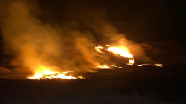 Van'da sazlık alanda yangın çıktı