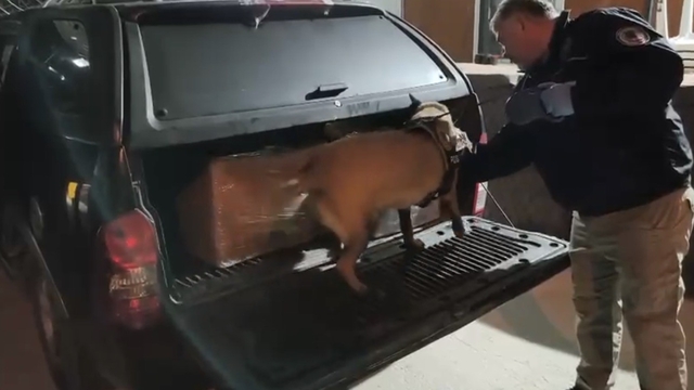 Samsun'da uyuşturucu operasyonunda 165 bin hap ele geçirildi