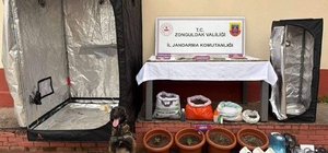 Zonguldak'ta jandarmanın uyuşturucu operasyonunda 2 şüpheli tutuklandı