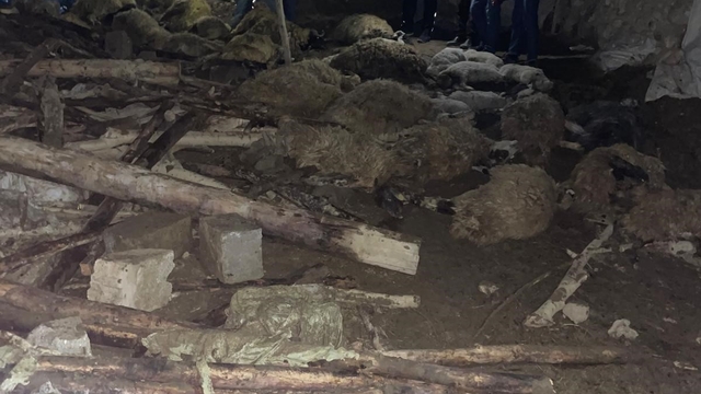 Van'da ahır çöktü: 56 küçükbaş hayvan telef oldu