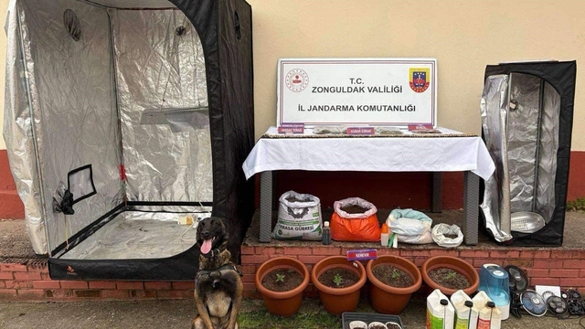 Zonguldak'ta jandarmanın uyuşturucu operasyonunda 2 şüpheli tutuklandı