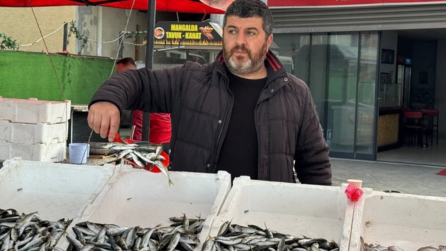 Zonguldak'ta tezgahlarda istavrit bolluğu: Kilosu 100 liradan satılıyor
