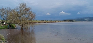 Sarıgöl Ovası’nda su sevinci