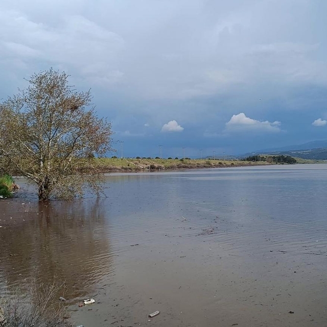 Sarıgöl Ovası'nda su sevinci