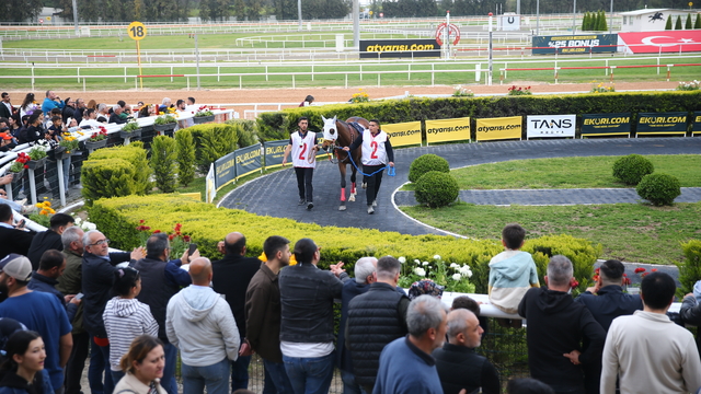Adana'da Portakal Çiçeği Koşusu'nu "Mountain" isimli safkan kazandı
