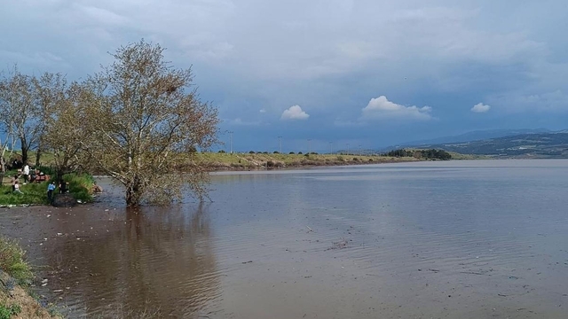 Sarıgöl Ovası'nda su sevinci