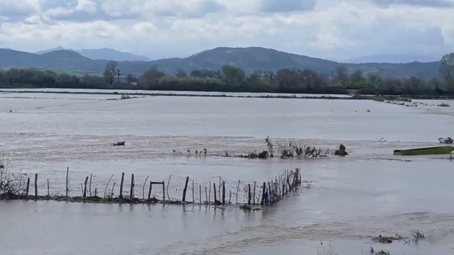 Meriç Nehri taştı, sular yollara ulaştı
Taşkın tarım arazilerini ve yolları etkiledi