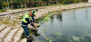 Didim'de temizlik ve düzenleme çalışmaları sürüyor