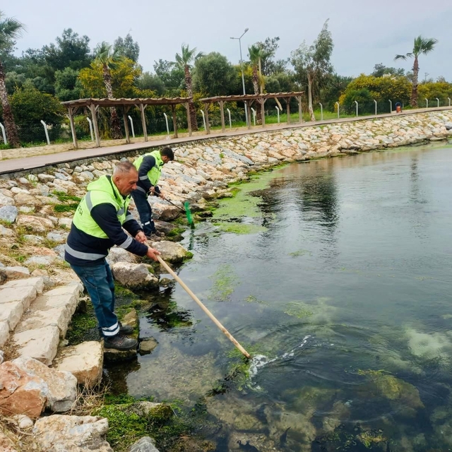 Didim'de temizlik ve düzenleme çalışmaları sürüyor
