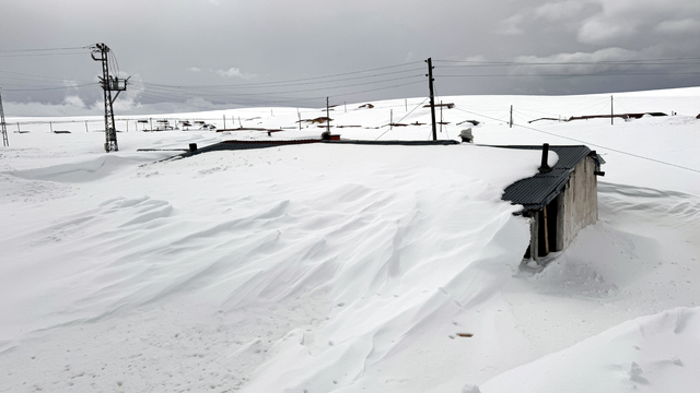Ardahan'da yayla evleri baharda kar altında kaldı