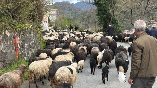 Artvin'de zorlu yayla göçü başladı