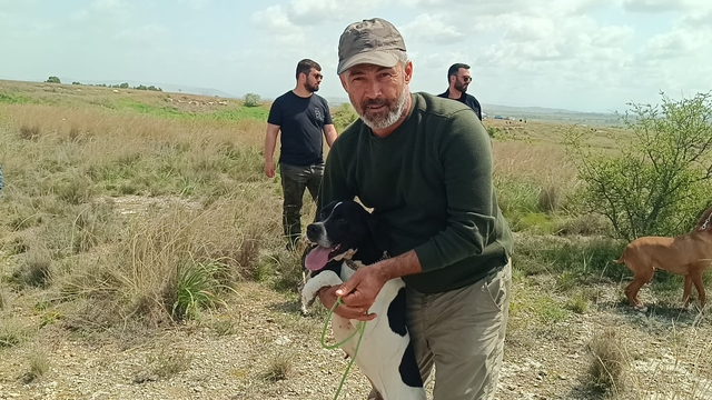 Adana'da "Avcı Köpeği ve Irk Standartları Yarışması" yapıldı