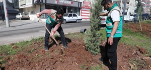 Haliliye’de yaz öncesi parklarda hummalı çalışma