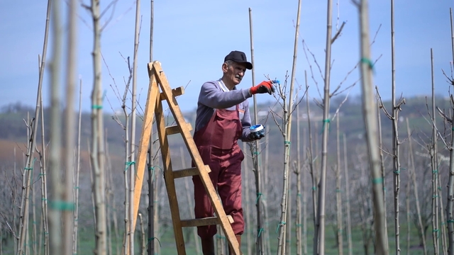 Kestel'de bahar mesaisi
Kestel'de bahar öncesi temizlik ve peyzaj çalışması başlatıldı