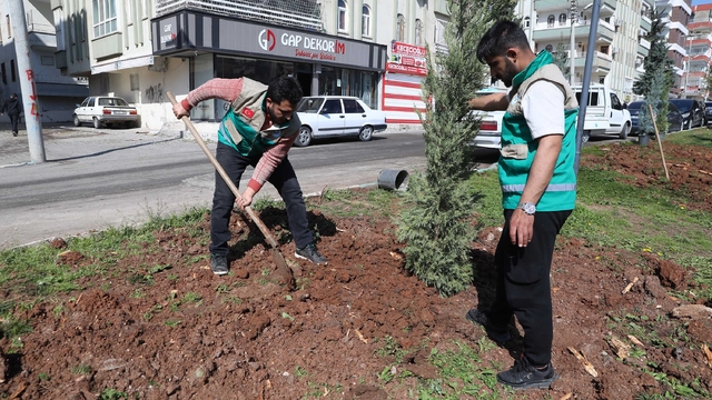 Haliliye'de yaz öncesi parklarda hummalı çalışma