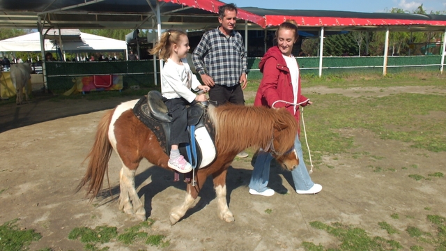 Balıkesir'de çocukların at binme sevinci