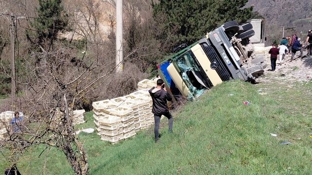 Devrilen kamyondan sürücü kurtuldu, onlarca tavuk telef oldu
