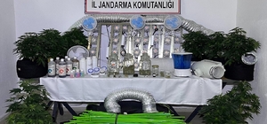 Muğla Jandarmasından zehir tacirlerine Mart ayı darbesi: 173 gözaltı