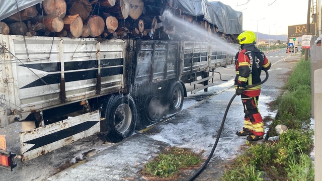 Tomruk yüklü TIR dorsesi alevel alev yandı