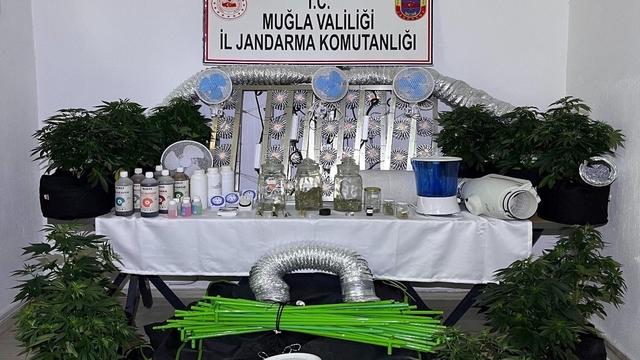 Muğla Jandarmasından zehir tacirlerine Mart ayı darbesi: 173 gözaltı