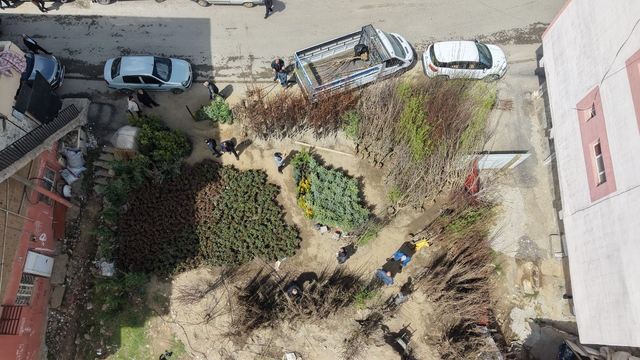 Muş'ta meyve fidanları satışa çıkarıldı