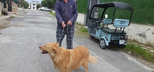 Burhaniyeli emlakçının hayvan sevgisi takdir topladı